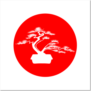 Bonsai tree in red circle Posters and Art